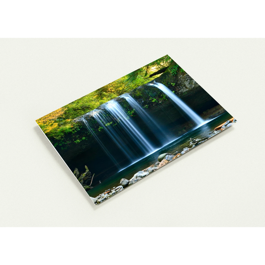 2eb15f6a-2f4f-48de-9648-0d4d7ee5ffca