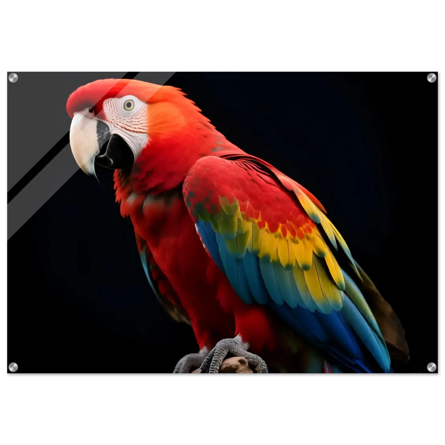 4f69eaad-c5e1-4210-afd5-685ba07c253c