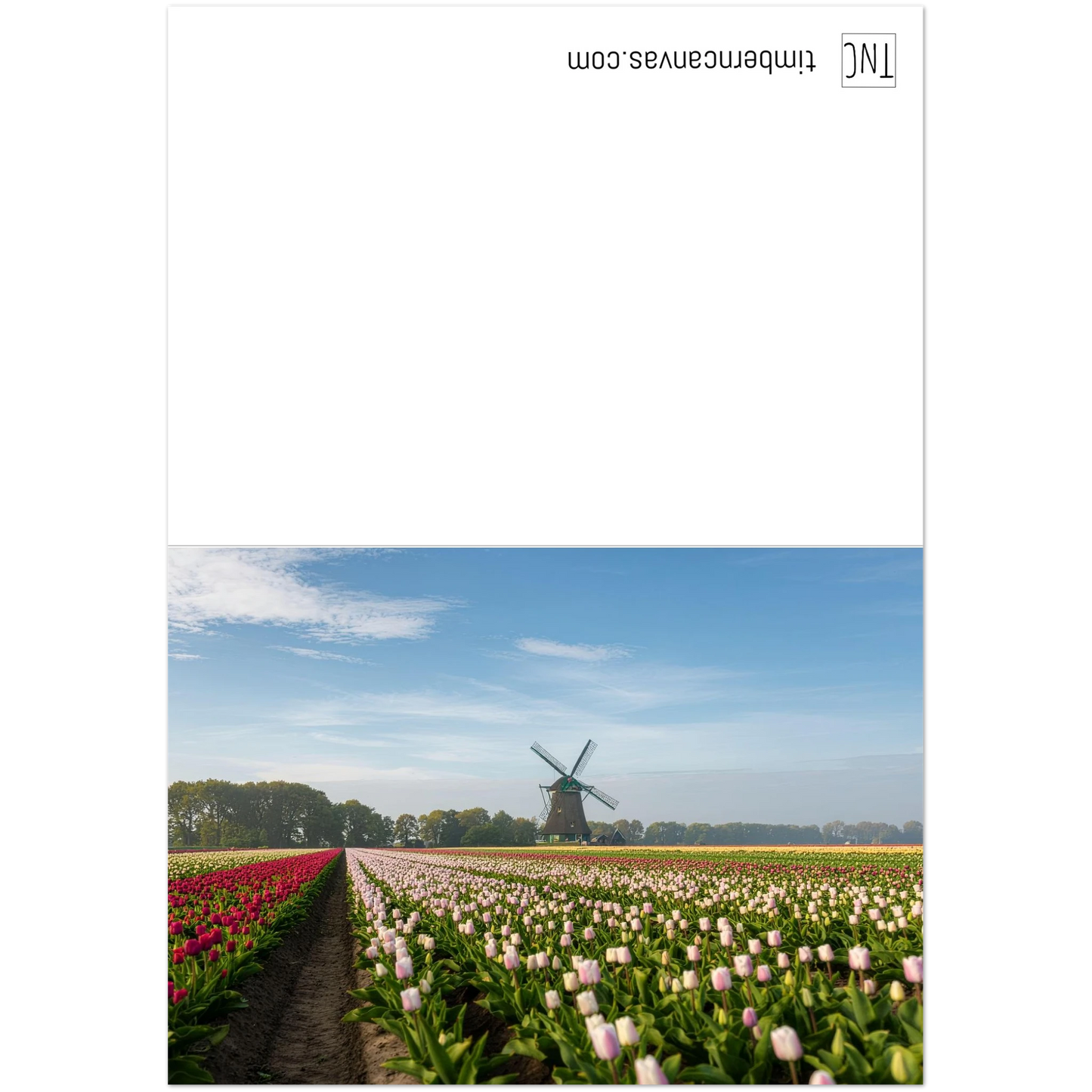 85326cc1-68aa-4ec7-b253-579075b139d0