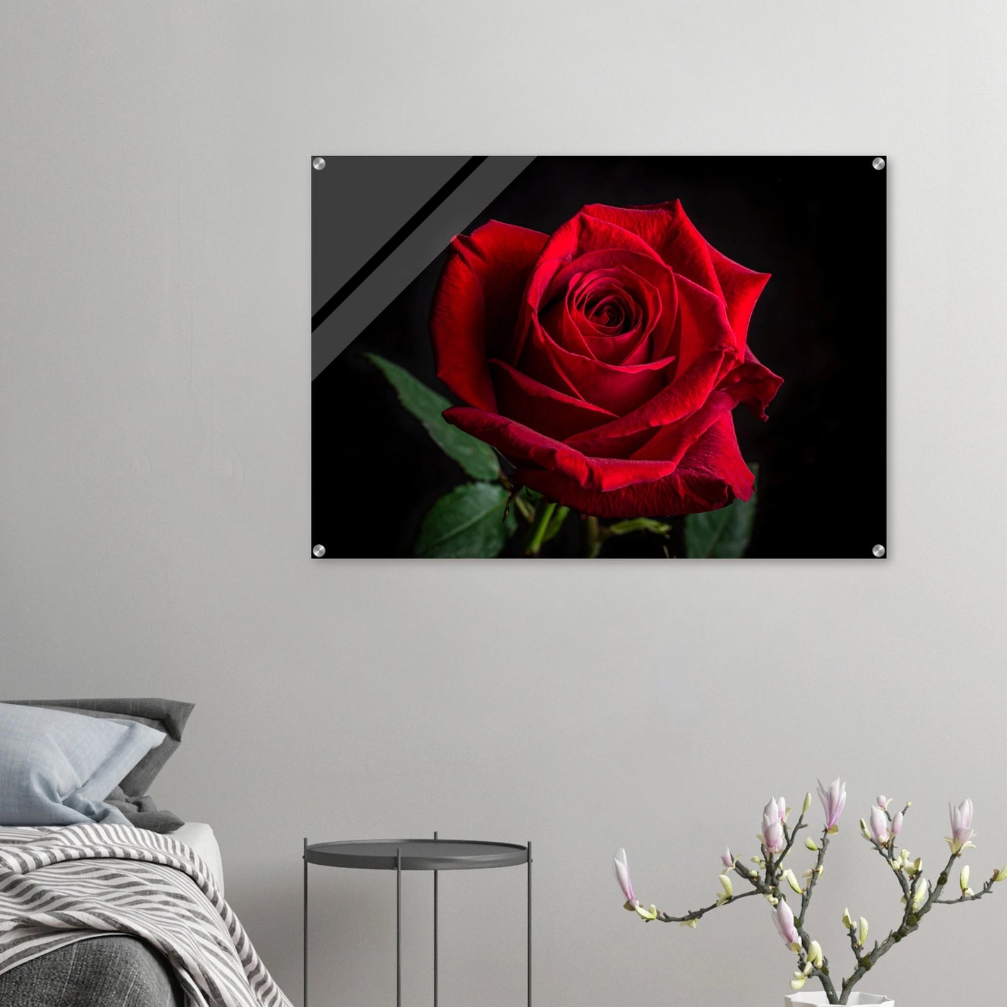 038494e2-814a-4f38-93b6-53e0658ff7b6