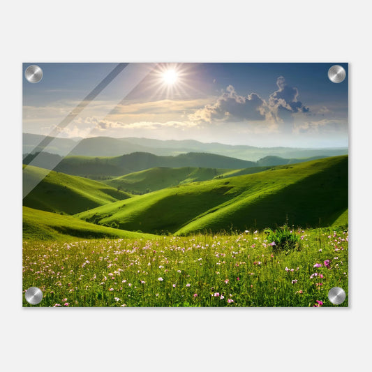 05045450-6316-4179-8a5a-9e72bc9f0903