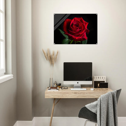 089c31c0-8e7a-437e-87cc-ea8ceaf6167b