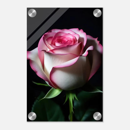 0c858267-d69f-47f6-a017-08c087190da6