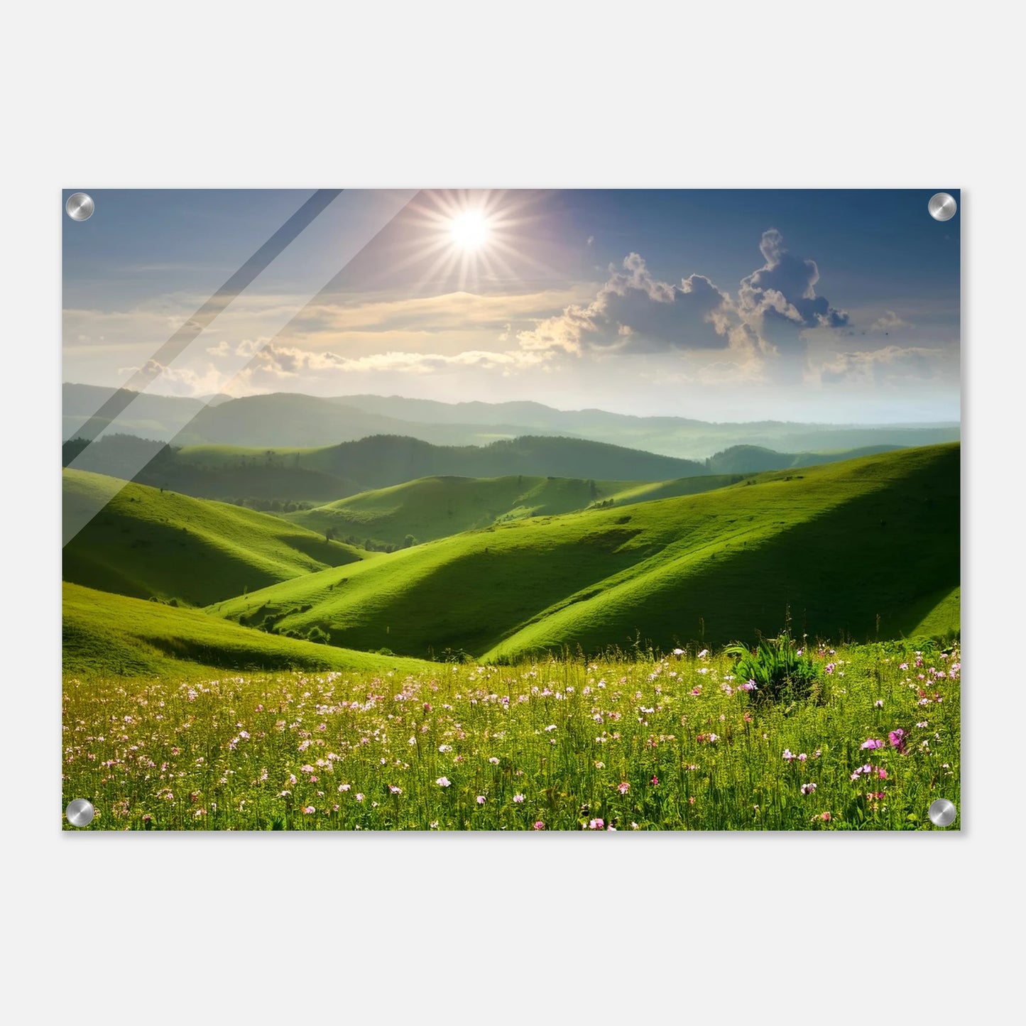 1144039e-ab2b-465d-a506-fd6b40fb1f3e