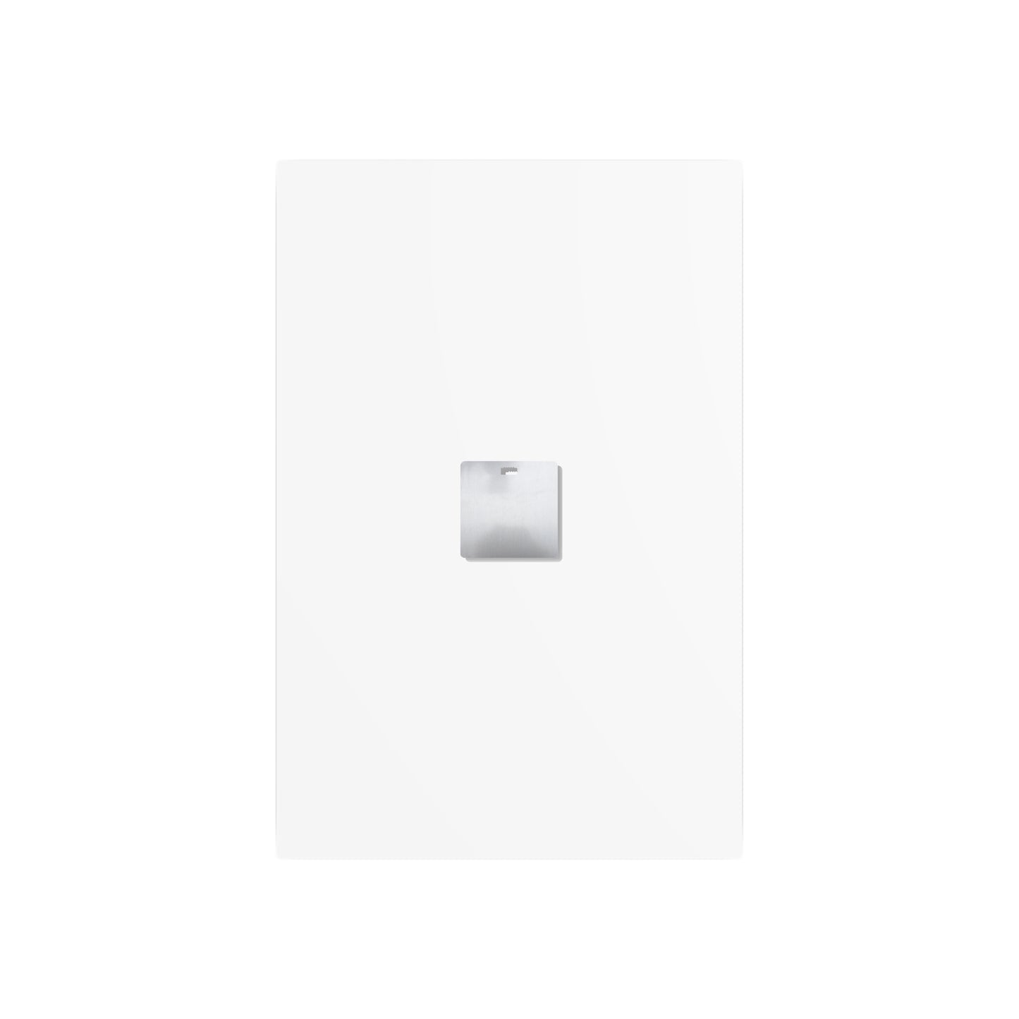 The White Rabbit - Metal Print