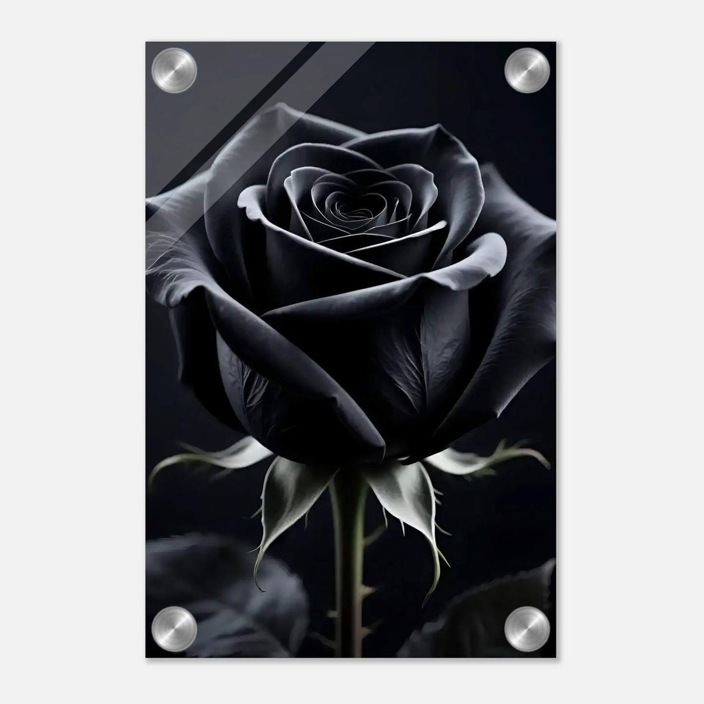 18884d96-b446-4dea-8523-7905fe557d62