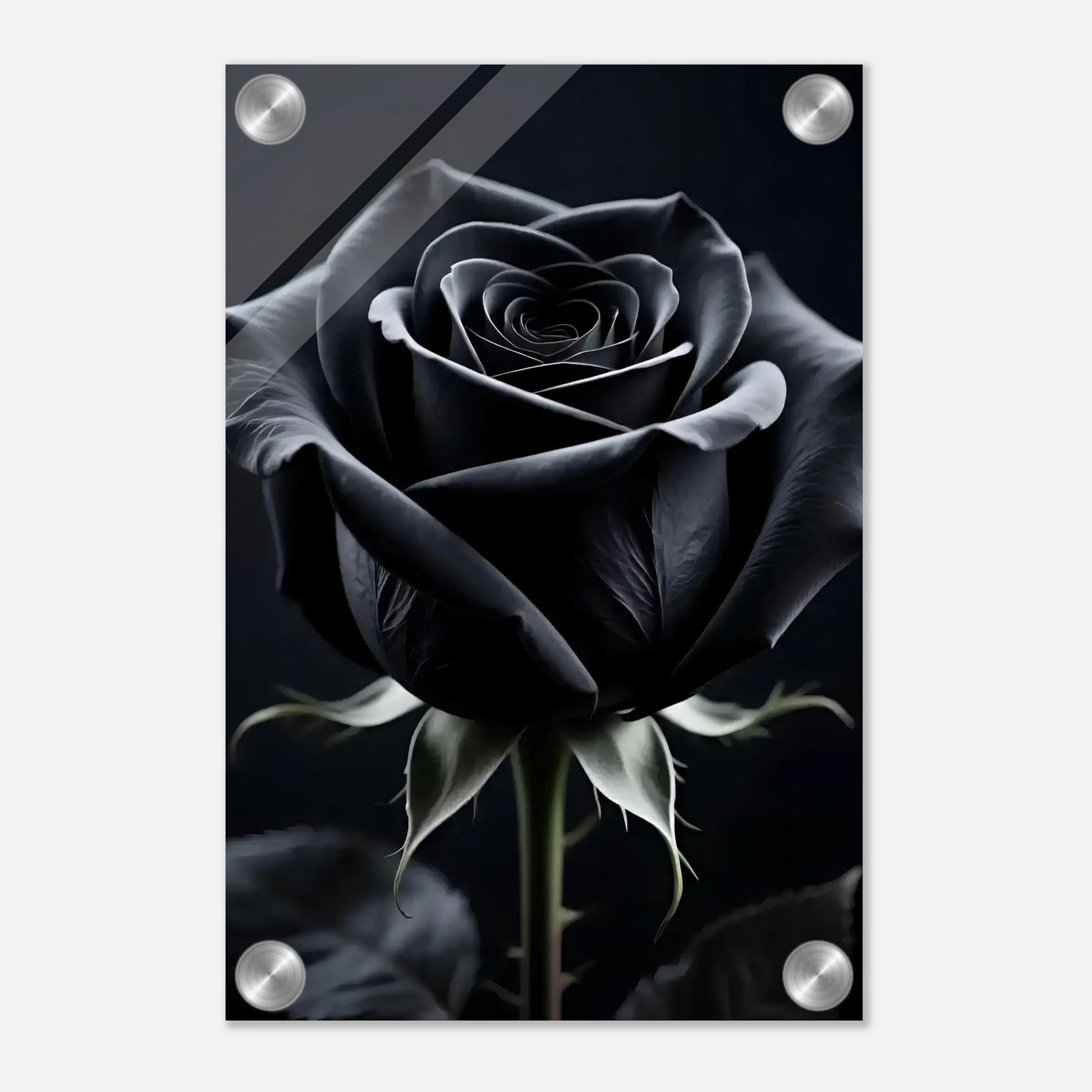 18884d96-b446-4dea-8523-7905fe557d62