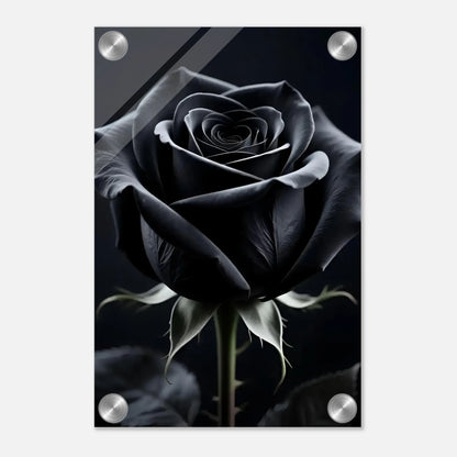 18884d96-b446-4dea-8523-7905fe557d62