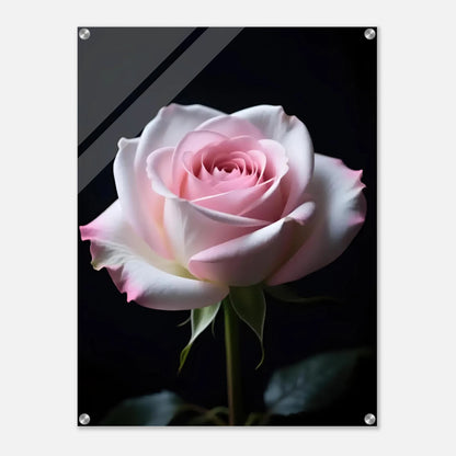 1b0cd64a-95f3-4b85-b05c-4b4a3c626113