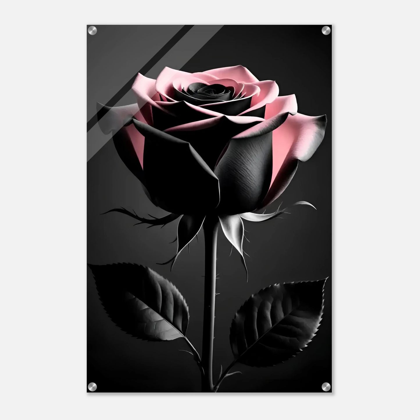 1b2ba771-7f9d-4c9c-a27c-b8c005d69924