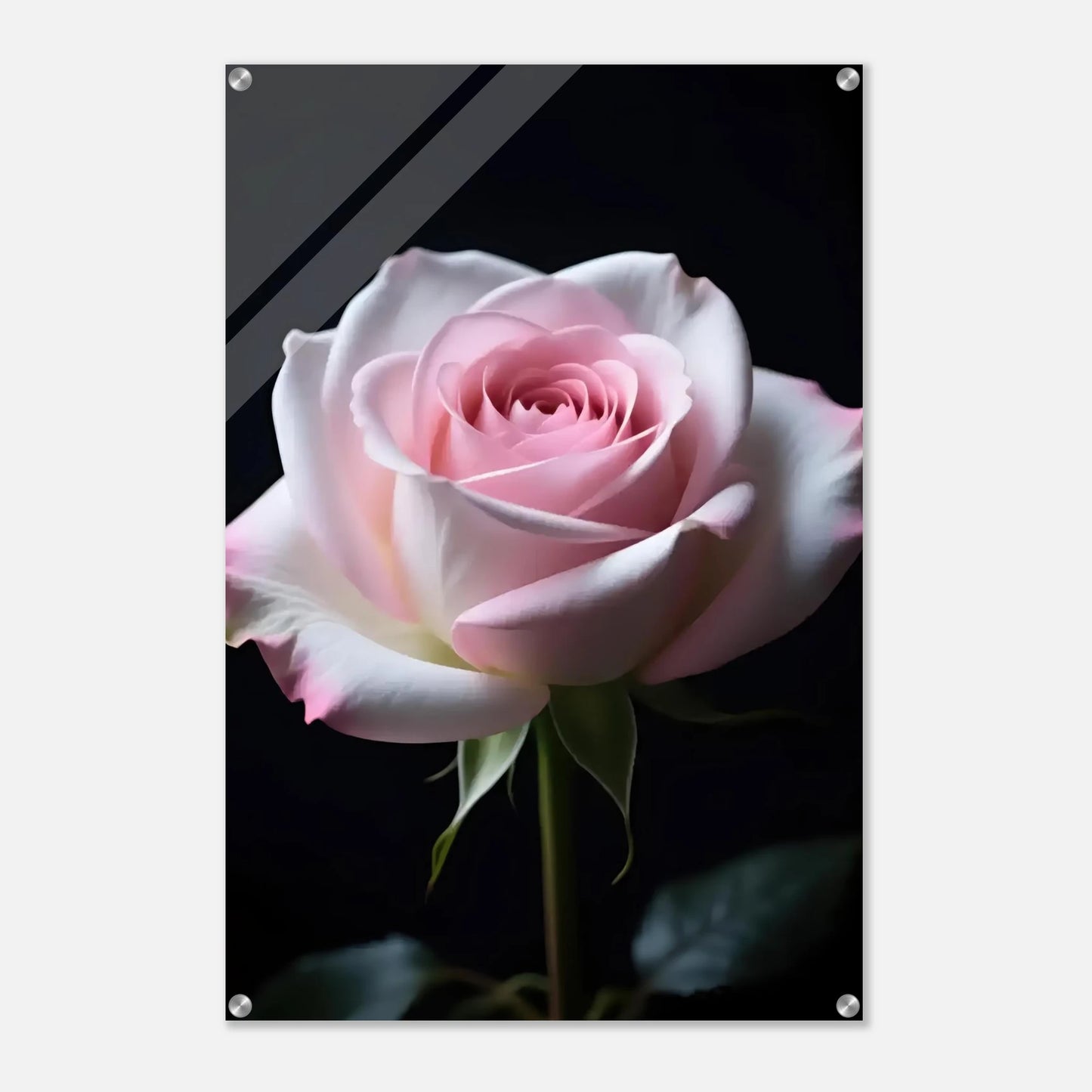 1bcf6d77-cf93-4b62-886a-85aa8cadf611