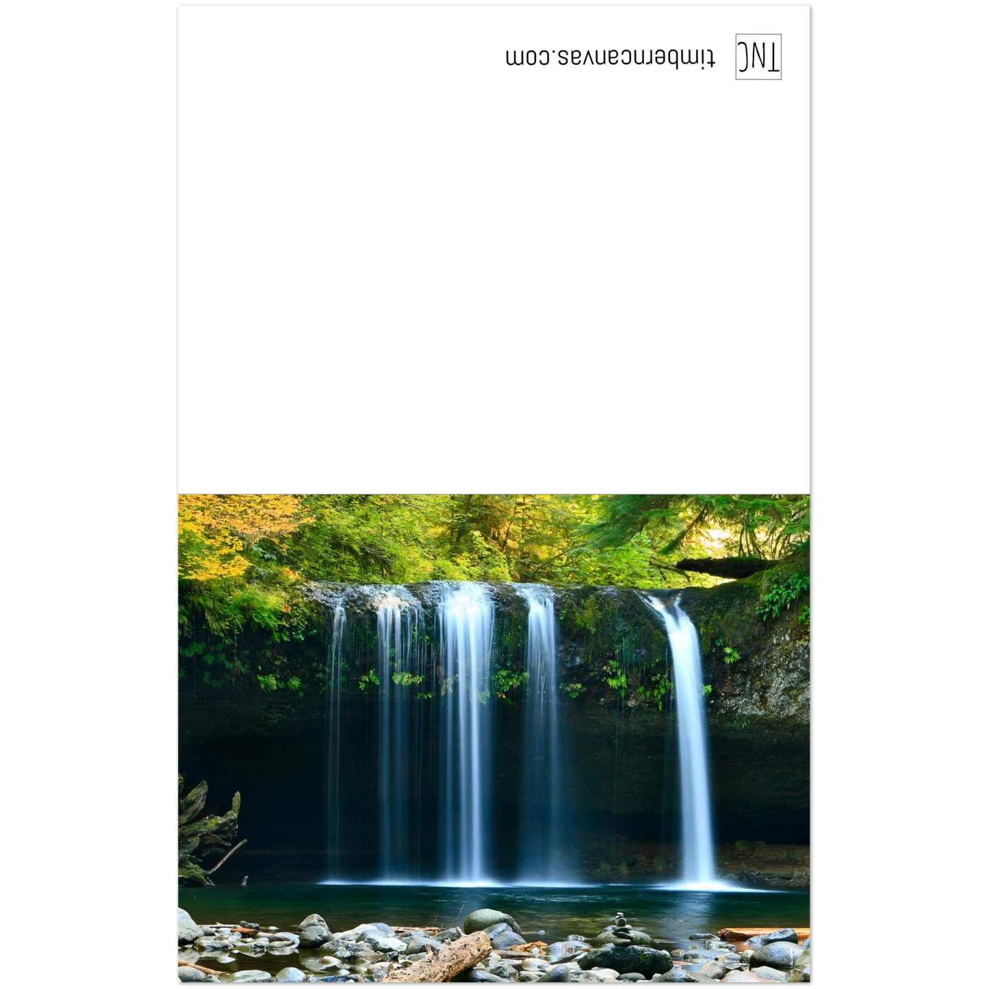 2165939b-01ee-46e2-b50e-b481e48caec9