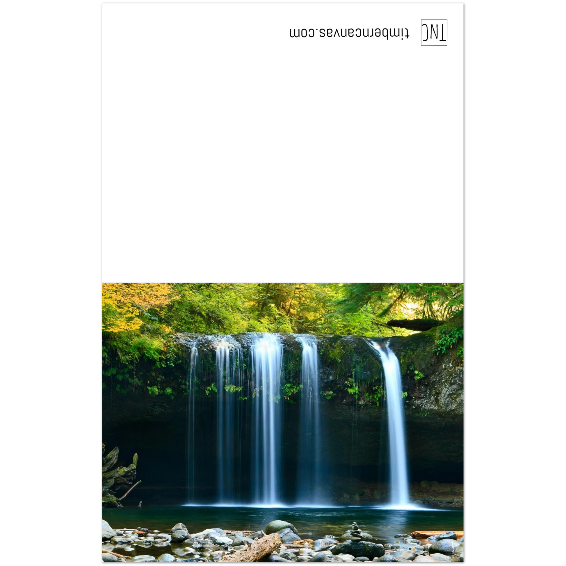 2165939b-01ee-46e2-b50e-b481e48caec9