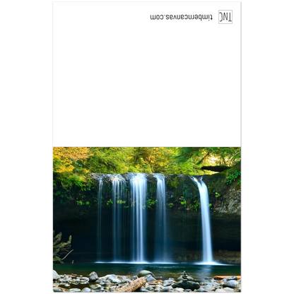 2165939b-01ee-46e2-b50e-b481e48caec9