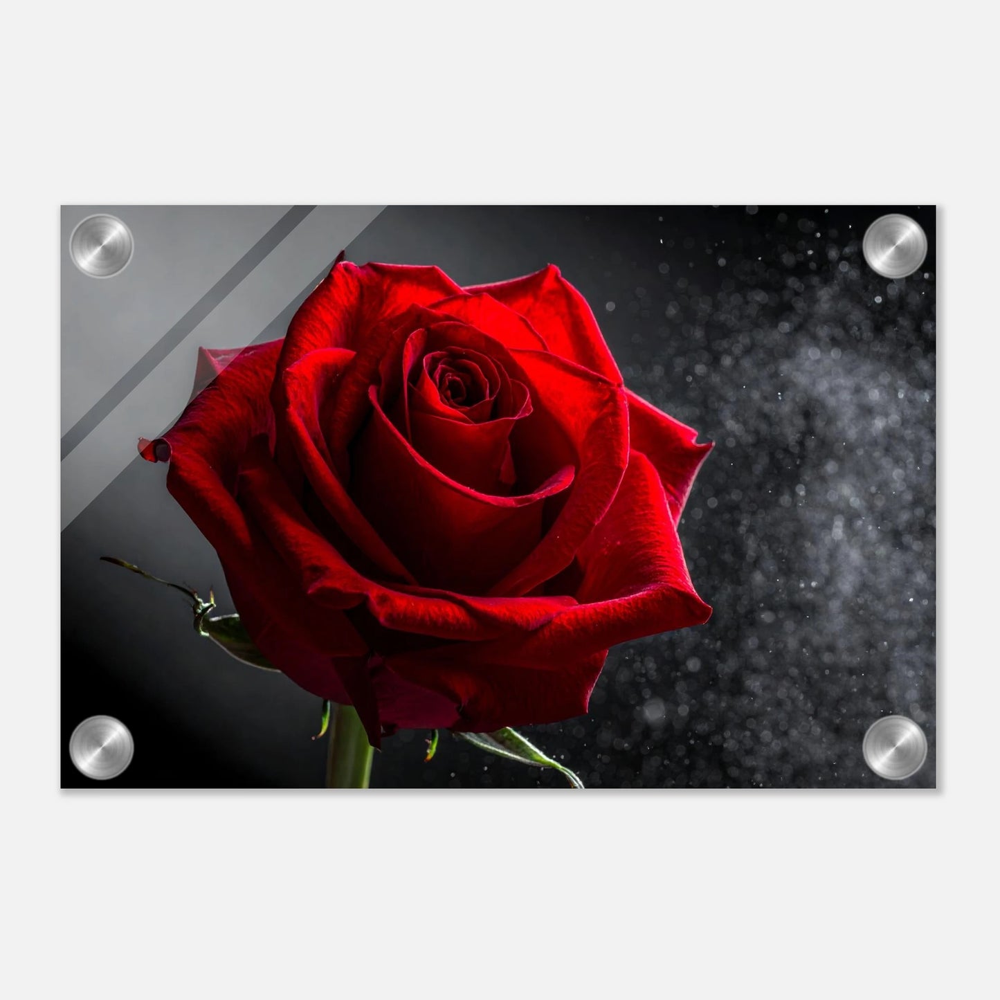 23f1aebb-8e51-42d1-8cc6-634d1df30a41