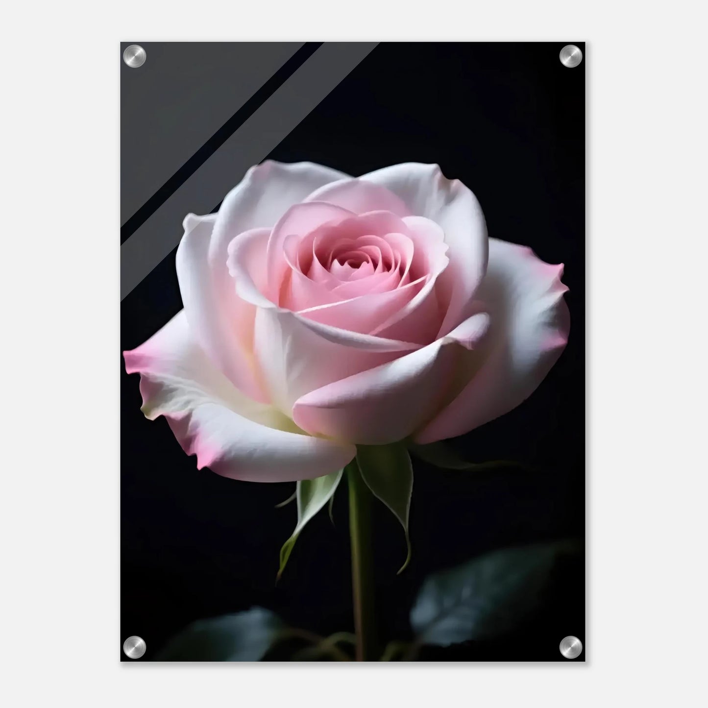 2596225a-8bb6-4567-82c6-1d2255bf4703