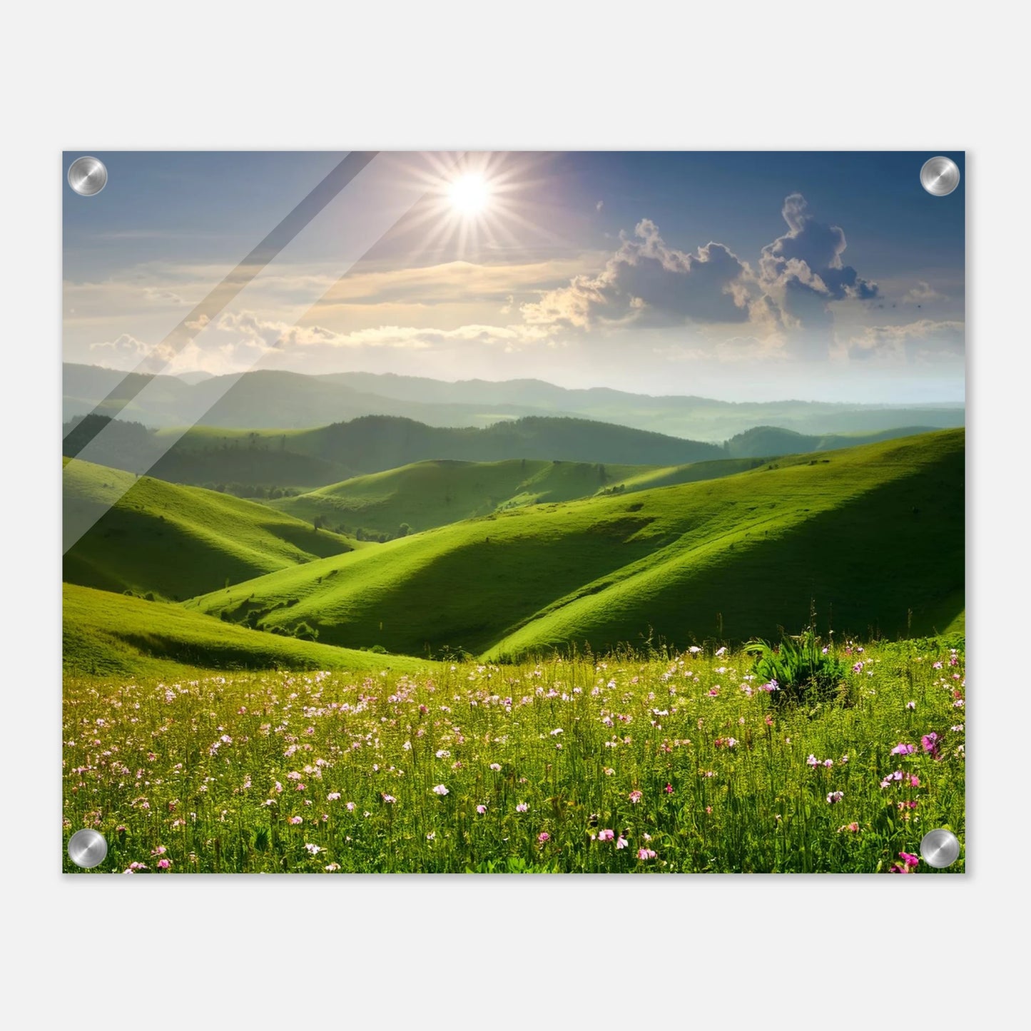 25da9489-958d-4c22-9205-45ab17a81464