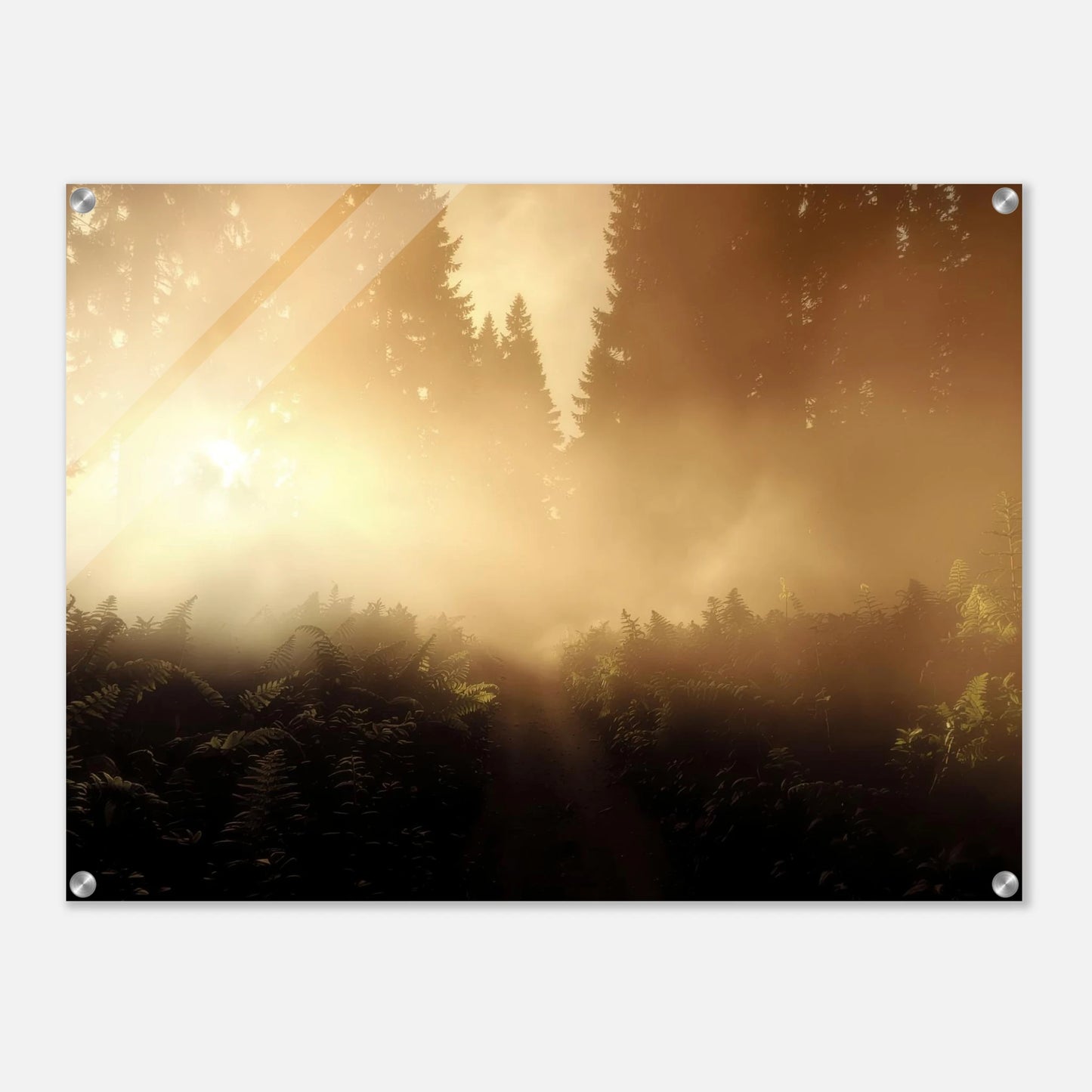 2dc2412c-b44b-4675-b6c6-40d3a13e35db