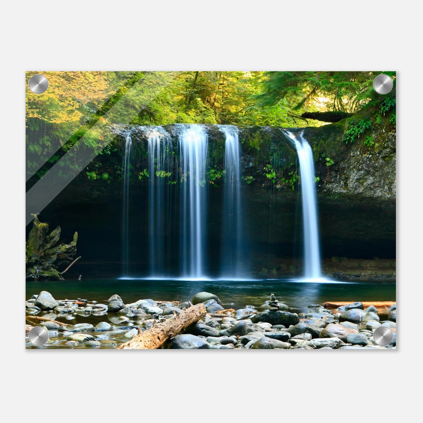 381b05b5-20da-4fbb-a7e1-db96dd36b3bb