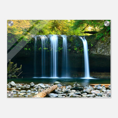 381b05b5-20da-4fbb-a7e1-db96dd36b3bb