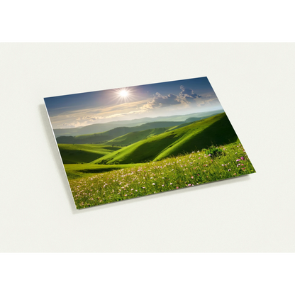 3a7cb383-5ca8-43a9-9808-84c57e9dc973