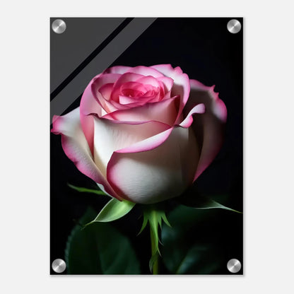 3cd19ba2-6139-48d0-a7c4-4704071358fb