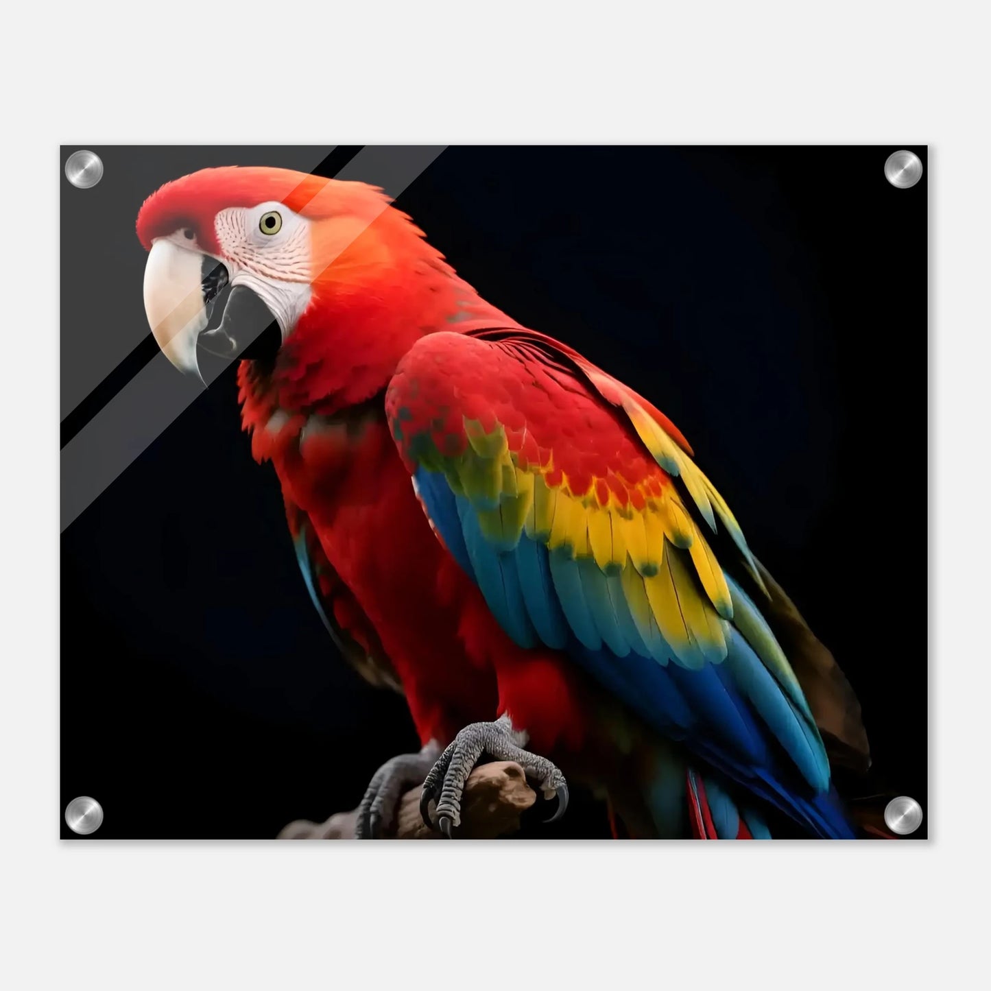 4020f247-eed9-4de5-a997-11f6c1a9ef98