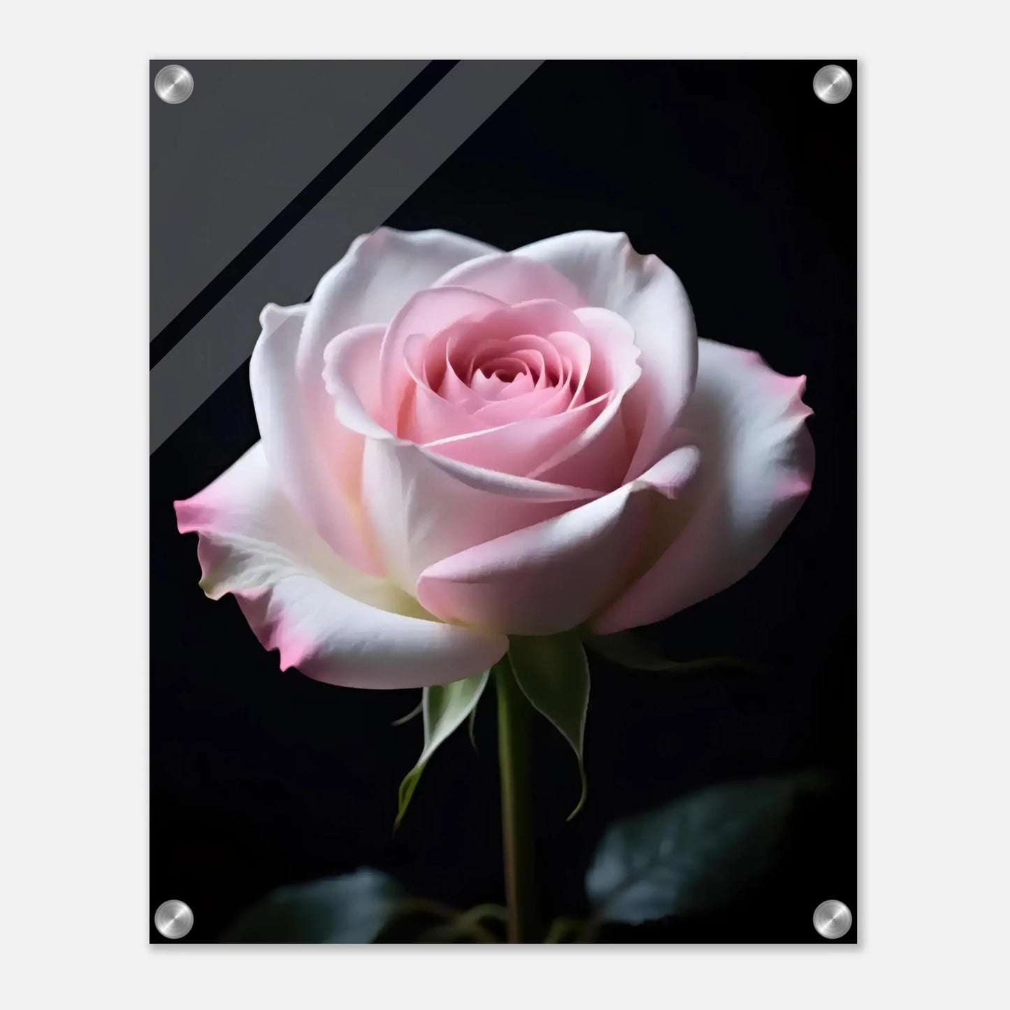 430488ef-d974-4e25-b09a-d910312302db