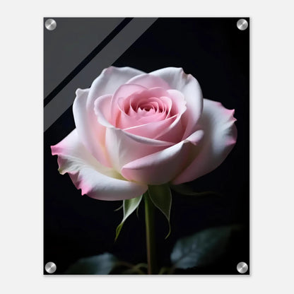 430488ef-d974-4e25-b09a-d910312302db