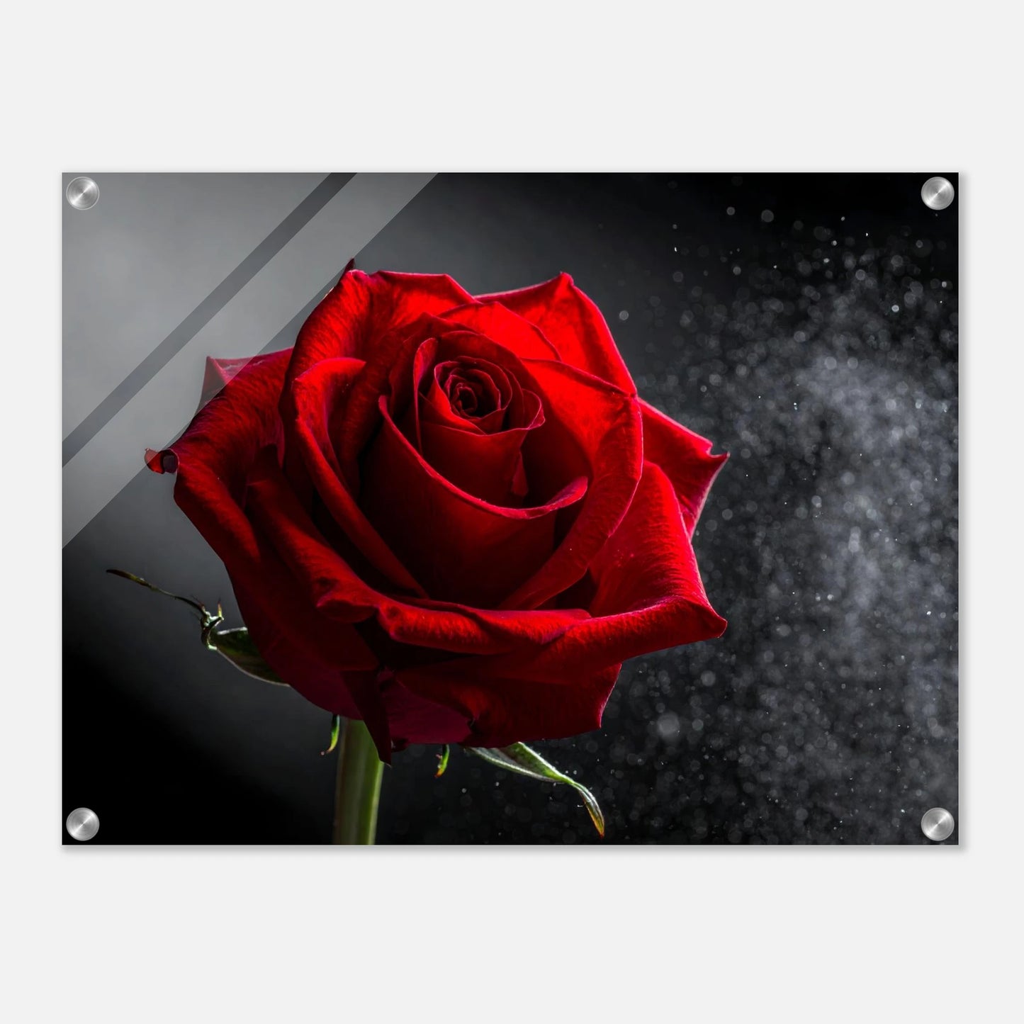 4ad4d6ff-e3a2-4e25-b580-7f3e3da52cfc