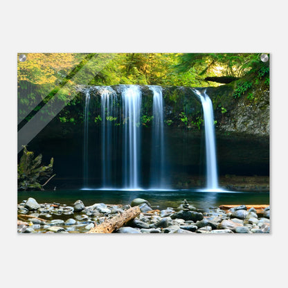 4bf58d99-aabb-4dc7-8e7c-82925269d758