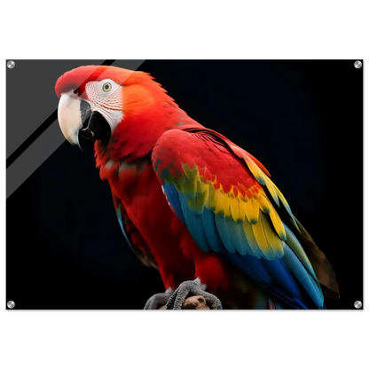 4f69eaad-c5e1-4210-afd5-685ba07c253c