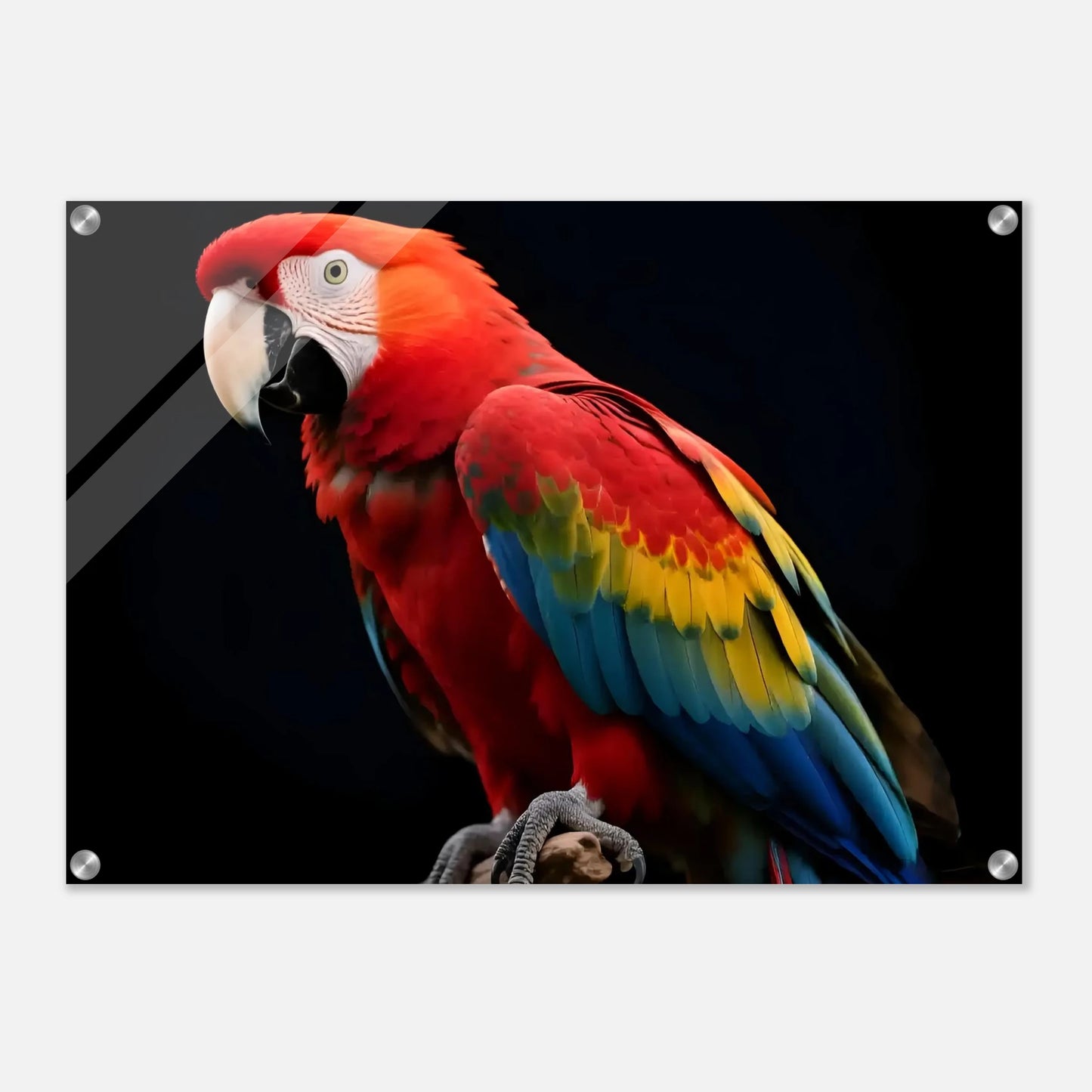 4fa0ef0e-fce5-4a5f-b80a-ee3c3267e988