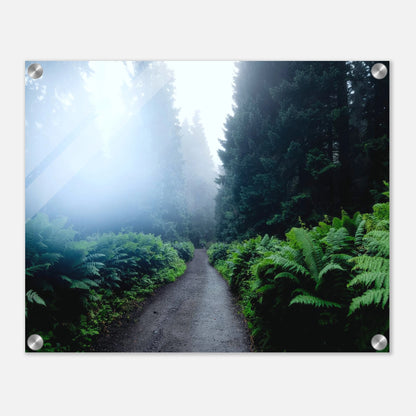 50045632-fa67-48c5-be7d-a7e305f9fc00