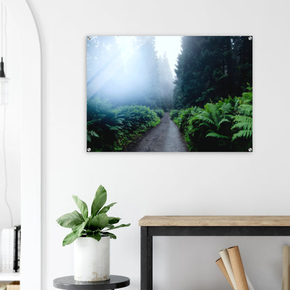 53dd3595-13af-4c95-a0e7-4240506b5504