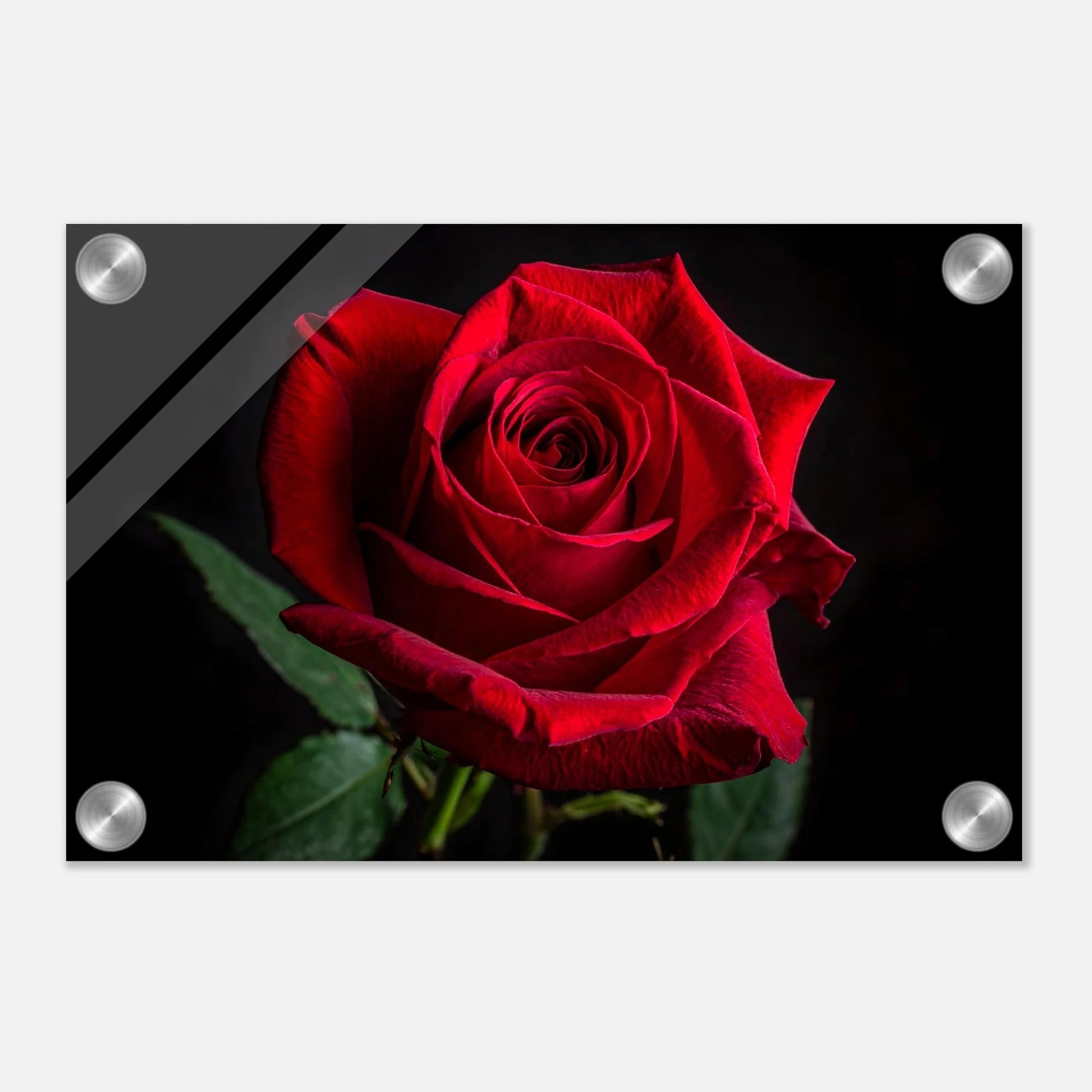 55cde51a-0706-455a-93c6-895e397f9a4c