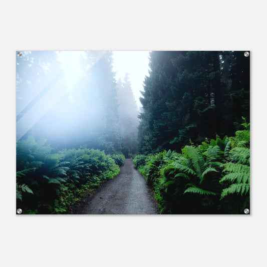 561ae484-b35c-4760-82b9-2a19f3715952