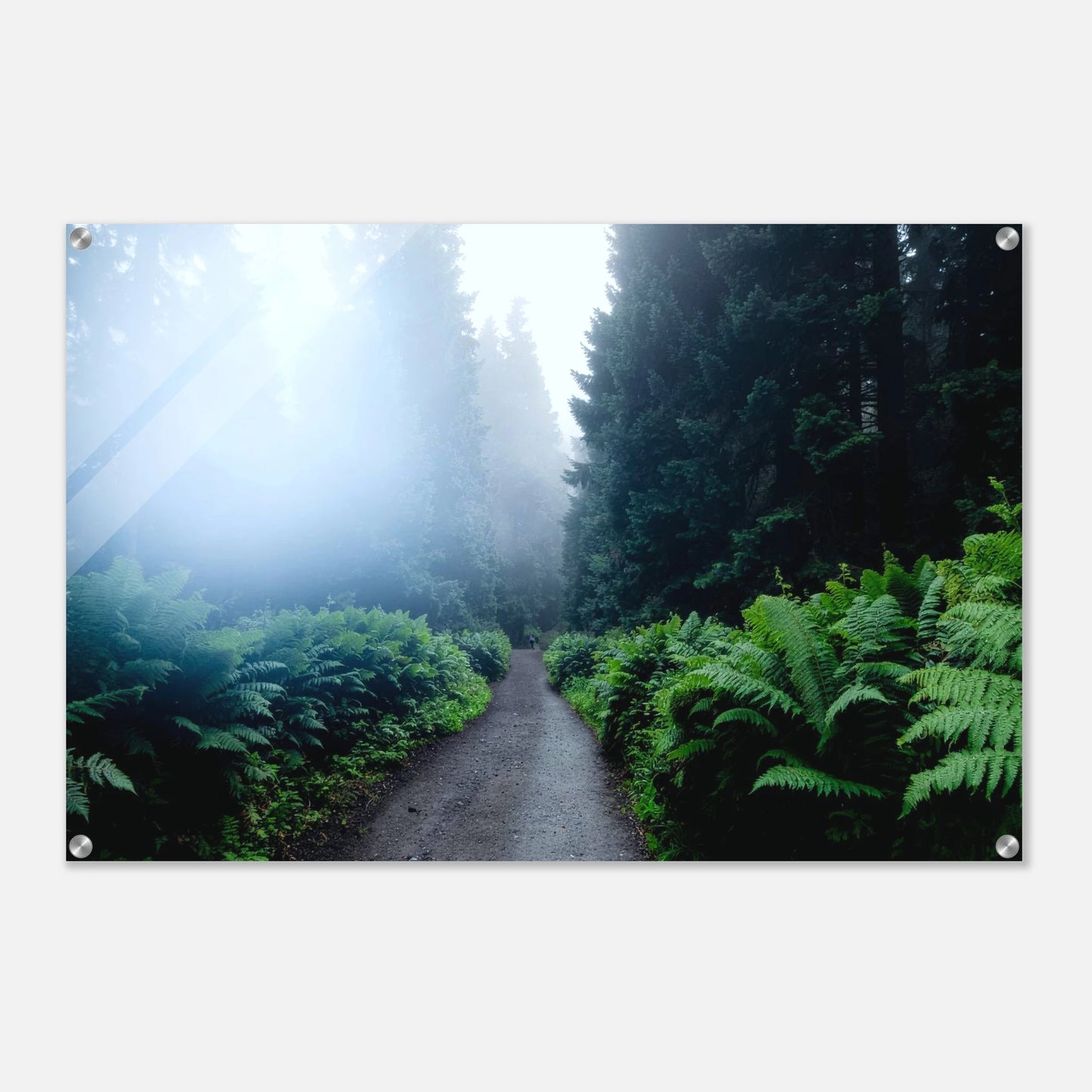 59b9214b-0851-4e0b-8b80-18153f4b5627