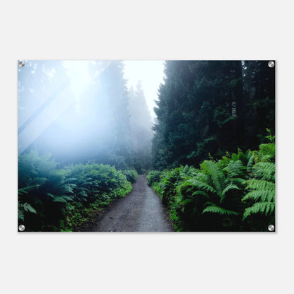 59b9214b-0851-4e0b-8b80-18153f4b5627