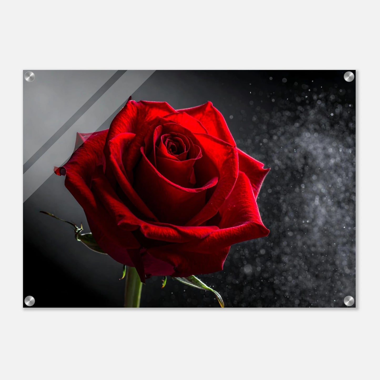 5c193534-8ef0-46c3-aa6c-12ff1794ae2a