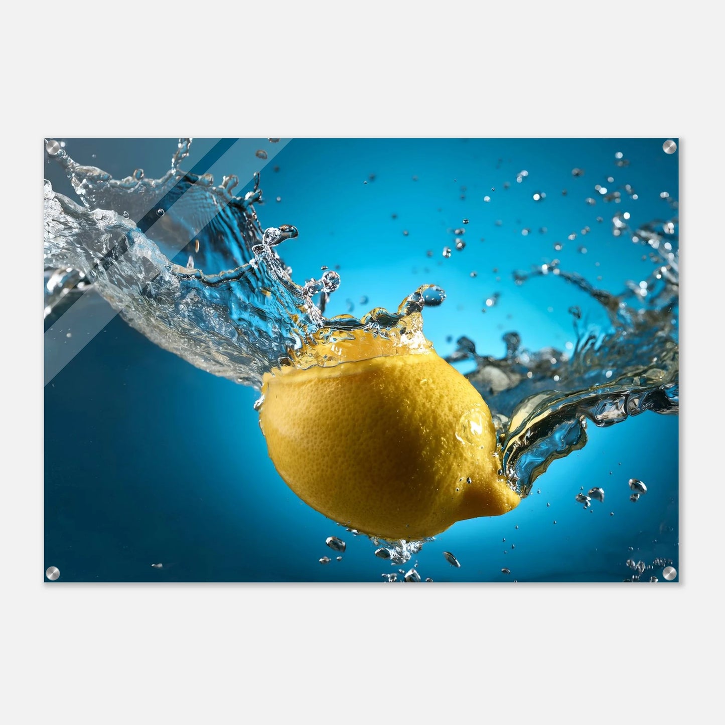 5ed42ccc-74c9-47f4-86fe-d572485cb333