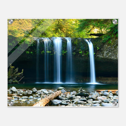 6008d05b-4535-49a9-9ac0-a8d21499e19b