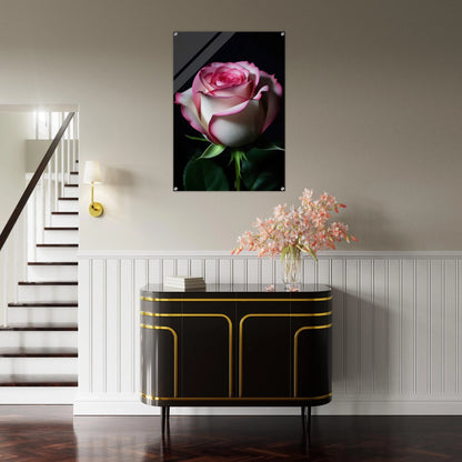 699657d3-004f-4fa4-a9b2-388b7d3cedcc