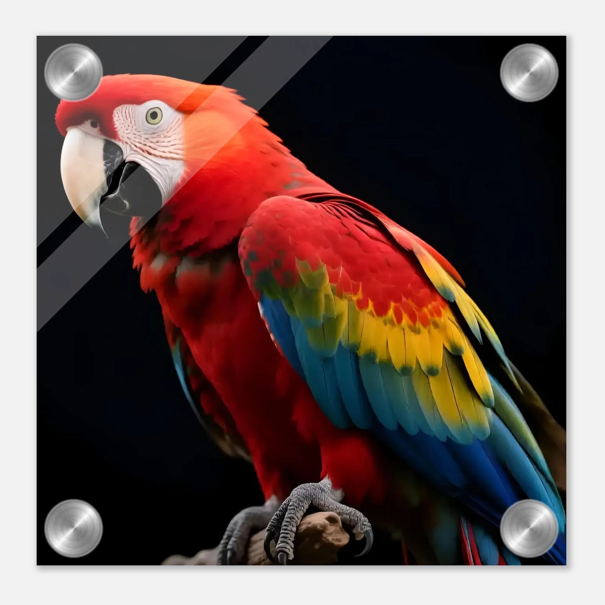 6c8c95c4-e934-4b7d-842c-15787a9a0684