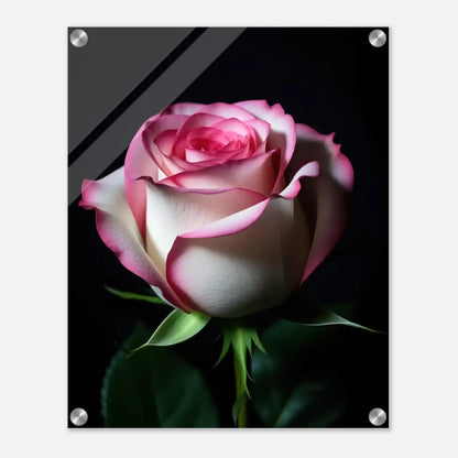 6ed2fe4c-50ed-4025-9f43-19c61fa7fc1e