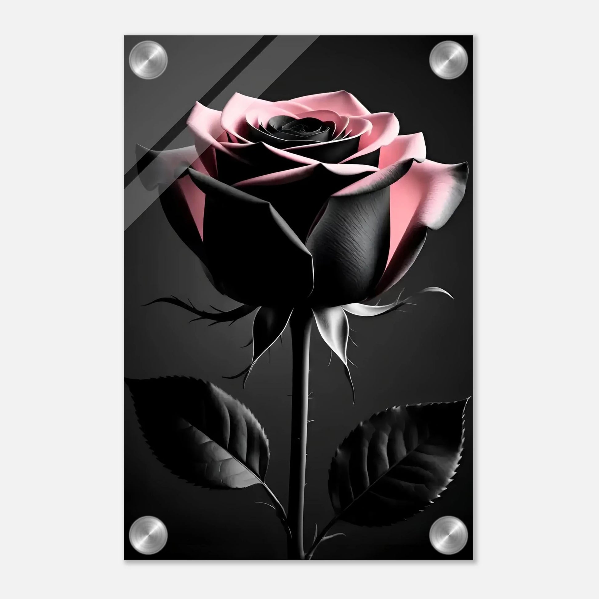 74c19ea1-6223-4728-b777-9e8992f2a27b