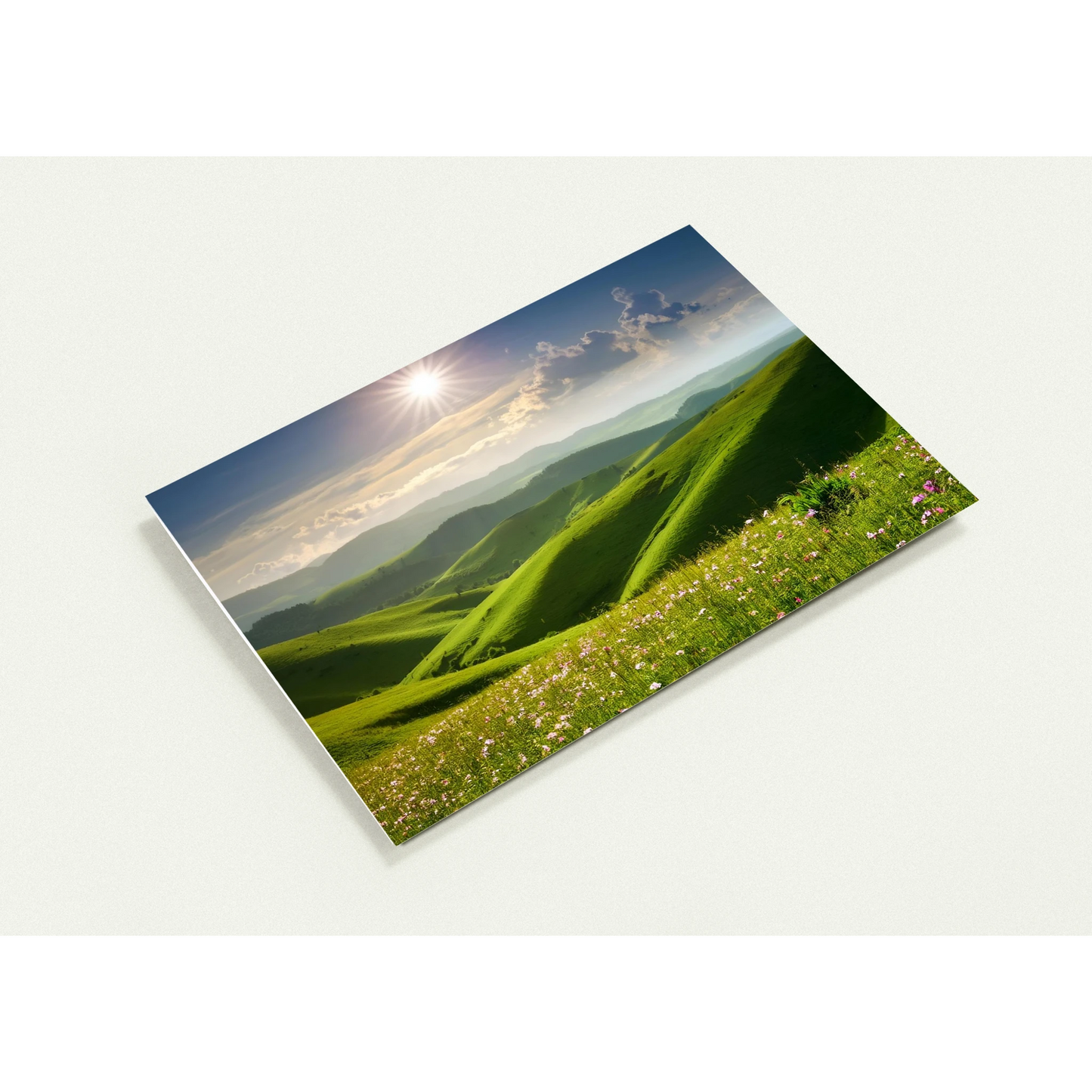 7749332d-c712-49a7-9e59-718811270cce