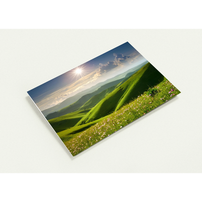 7749332d-c712-49a7-9e59-718811270cce