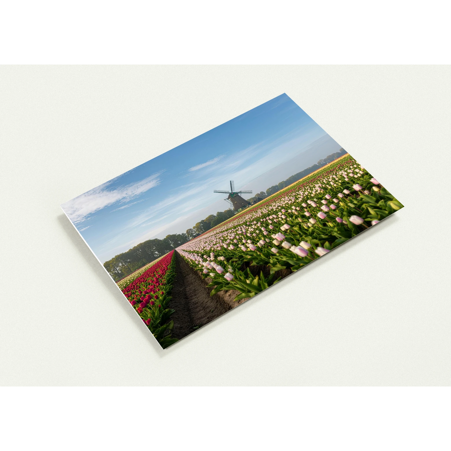 7ba41e27-efa1-4e9c-b910-a4e39d8eee0f