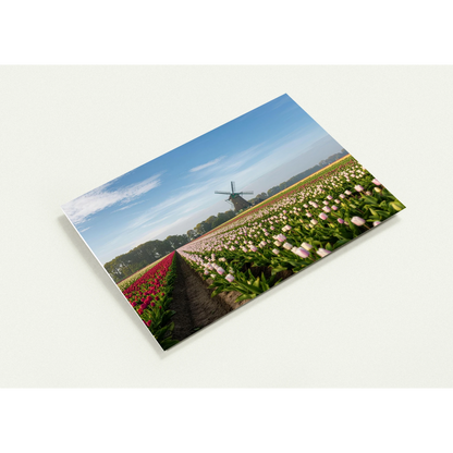 7ba41e27-efa1-4e9c-b910-a4e39d8eee0f